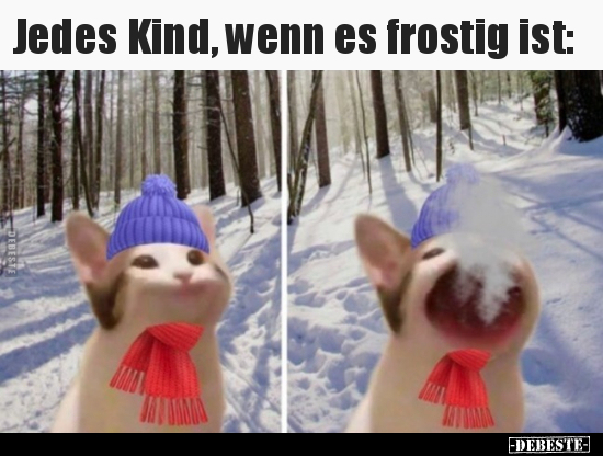Jedes Kind, wenn es frostig ist.. - Lustige Bilder | DEBESTE.de