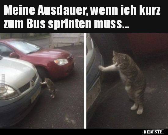 Meine Ausdauer, wenn ich kurz zum Bus sprinten muss... - Lustige Bilder | DEBESTE.de