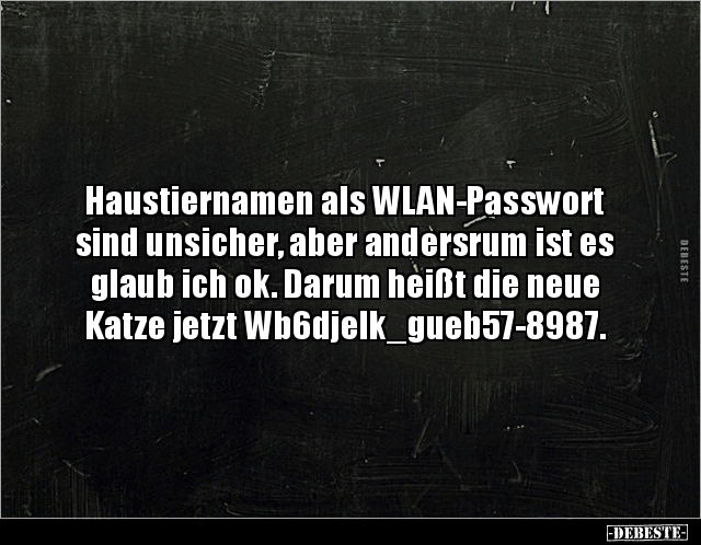 Haustiernamen als WLAN-Passwort sind unsicher, aber.. - Lustige Bilder | DEBESTE.de