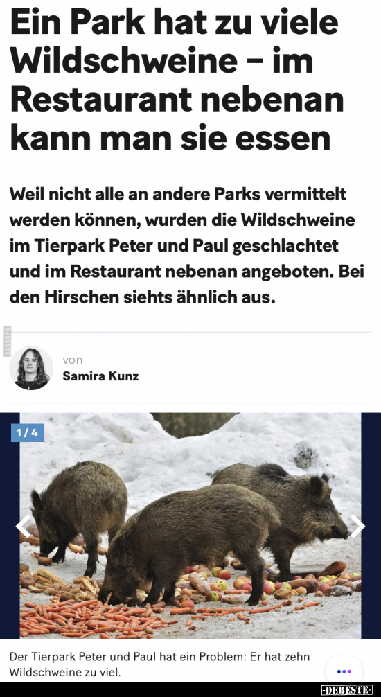 Ein Park hat zu viele Wildschweine - im Restaurant nebenan.. - Lustige Bilder | DEBESTE.de
