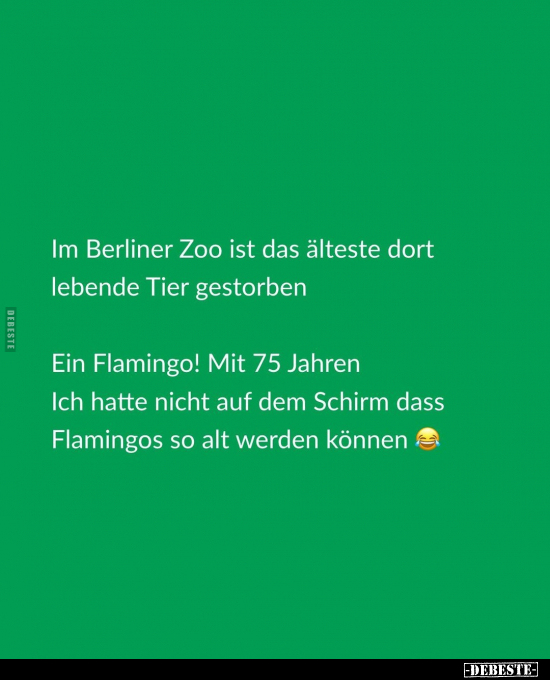 Im Berliner Zoo ist das älteste dort lebende Tier gestorben.. - Lustige Bilder | DEBESTE.de