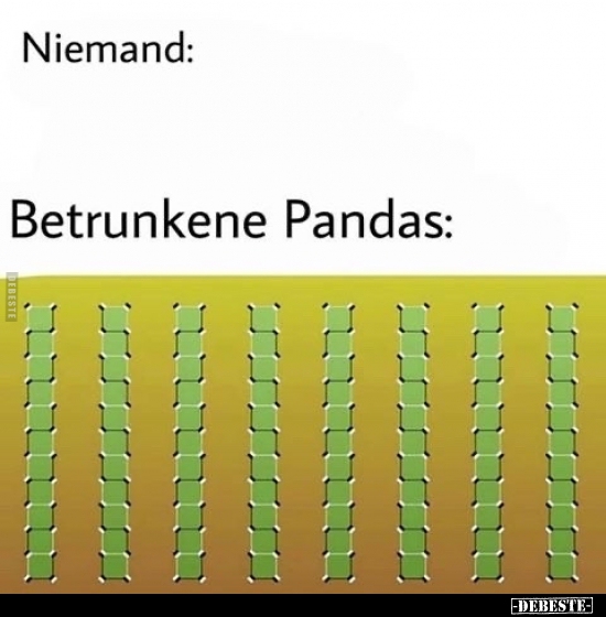 Betrunkene Pandas.. - Lustige Bilder | DEBESTE.de