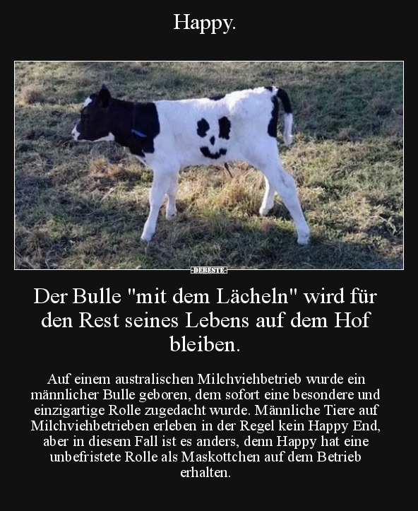 Happy. Der Bulle "mit dem Lächeln" wird für den Rest.. - Lustige Bilder | DEBESTE.de