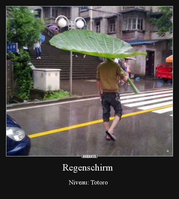 Regenschirm - Niveau: Totoro.. - Lustige Bilder | DEBESTE.de