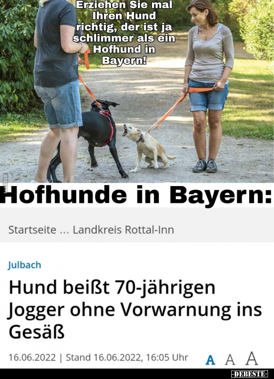 Erziehen Sie mal Ihren Hund richtig, der ist ja schlimmer.. - Lustige Bilder | DEBESTE.de