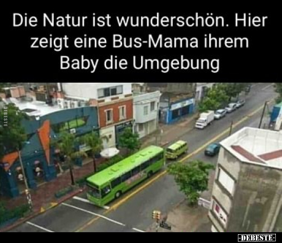 Die Natur ist wunderschön. Hier zeigt eine Bus-Mama ihrem.. - Lustige Bilder | DEBESTE.de