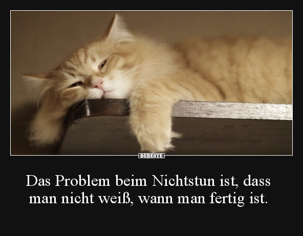 Das Problem beim Nichtstun ist, dass man nicht weiß, wann.. - Lustige Bilder | DEBESTE.de