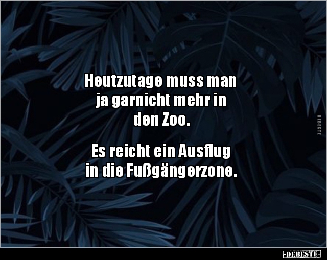 Heutzutage muss man ja garnicht mehr in den Zoo... - Lustige Bilder | DEBESTE.de