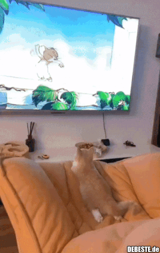 Katze guckt fern.. - Lustige Bilder | DEBESTE.de