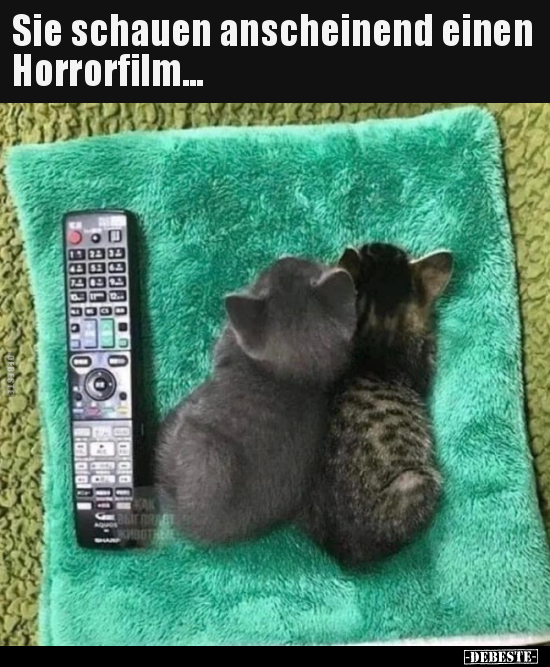 Sie schauen anscheinend einen Horrorfilm... - Lustige Bilder | DEBESTE.de
