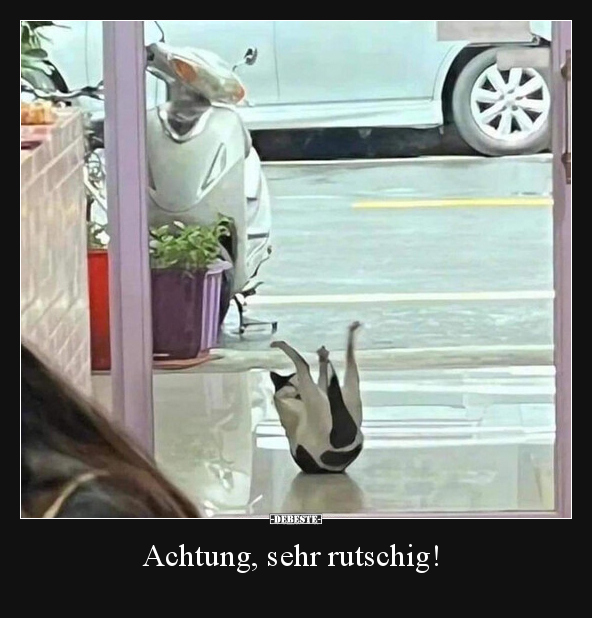Achtung, sehr rutschig!.. - Lustige Bilder | DEBESTE.de