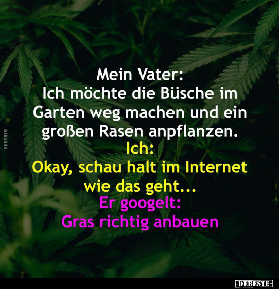 Mein Vater: Ich möchte die Büsche im Garten weg machen und.. - Lustige Bilder | DEBESTE.de