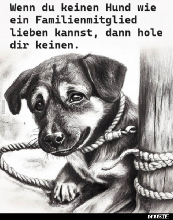 Wenn du keinen Hund wie ein Familienmitglied lieben kannst.. - Lustige Bilder | DEBESTE.de