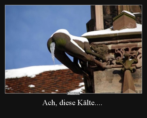 Ach, diese Kälte.... - Lustige Bilder | DEBESTE.de