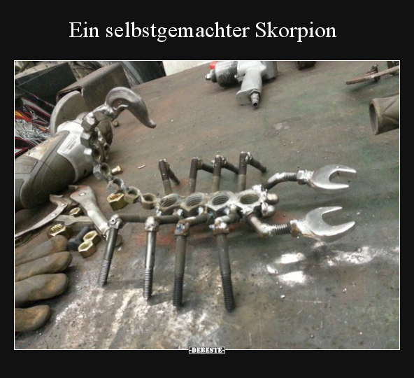 Ein selbstgemachter Skorpion.. - Lustige Bilder | DEBESTE.de
