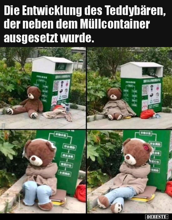 Die Entwicklung des Teddybären, der neben dem Müllcontainer.. - Lustige Bilder | DEBESTE.de