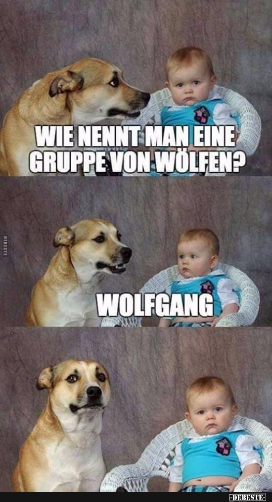 Wie nennt man eine Gruppe von Wölfen? - Lustige Bilder | DEBESTE.de