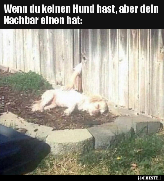 Wenn du keinen Hund hast, aber dein Nachbar einen hat.. - Lustige Bilder | DEBESTE.de
