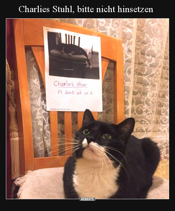 Charlies Stuhl, bitte nicht hinsetzen.. - Lustige Bilder | DEBESTE.de