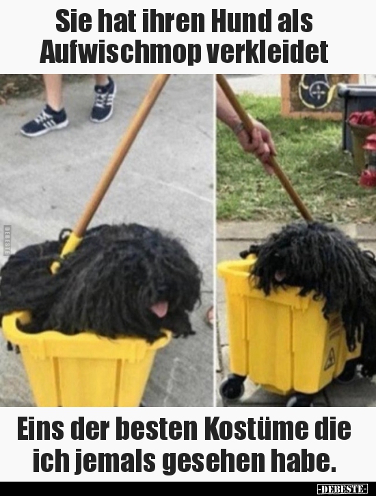Sie hat ihren Hund als Aufwischmop verkleidet.. - Lustige Bilder | DEBESTE.de