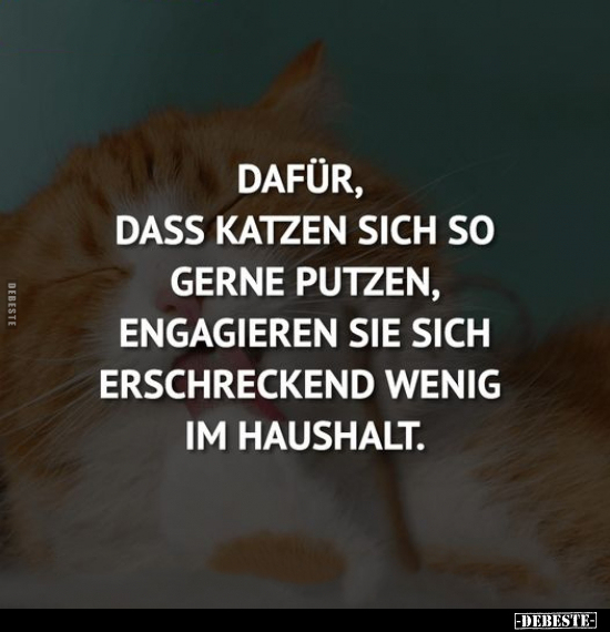 Dafür, dass Katzen sich so gerne putzen.. - Lustige Bilder | DEBESTE.de