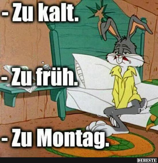 Zu Montag.. - Lustige Bilder | DEBESTE.de