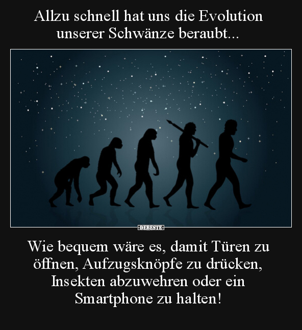 Allzu schnell hat uns die Evolution unserer Schwänze.. - Lustige Bilder | DEBESTE.de