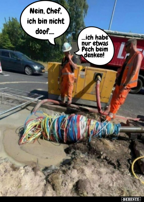 Nein, Chef, ich bin nicht doof... - Lustige Bilder | DEBESTE.de