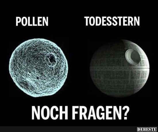 Pollen / Todesstern - Noch Fragen? - Lustige Bilder | DEBESTE.de