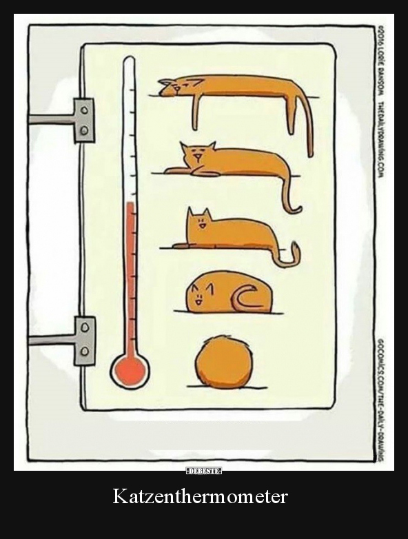 Katzenthermometer.. - Lustige Bilder | DEBESTE.de