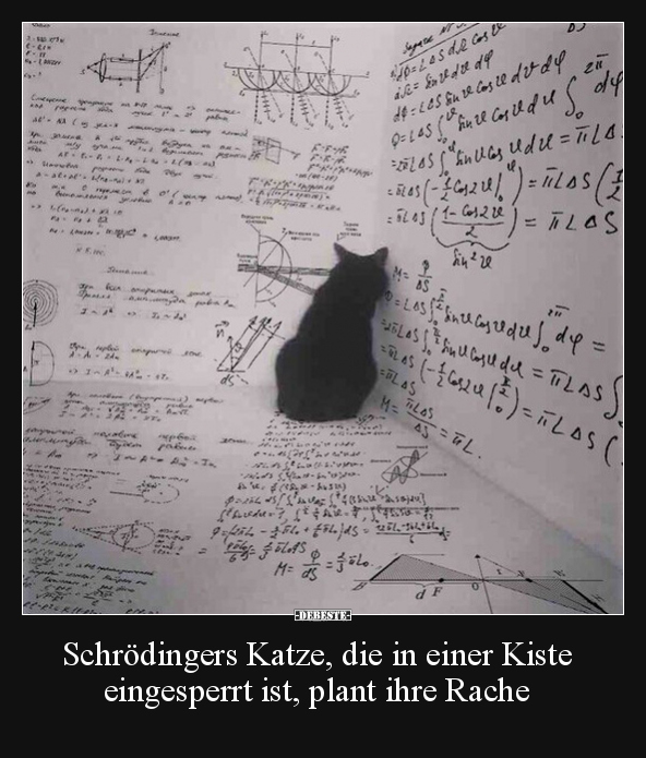 Schrödingers Katze, die in einer Kiste eingesperrt ist.. - Lustige Bilder | DEBESTE.de