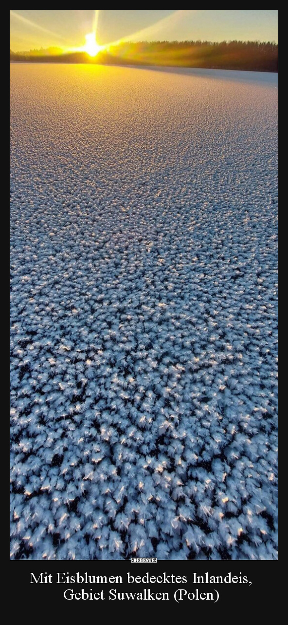 Mit Eisblumen bedecktes Inlandeis.. - Lustige Bilder | DEBESTE.de