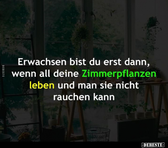 Erwachsen bist du erst dann, wenn all deine Zimmerpflanzen.. - Lustige Bilder | DEBESTE.de