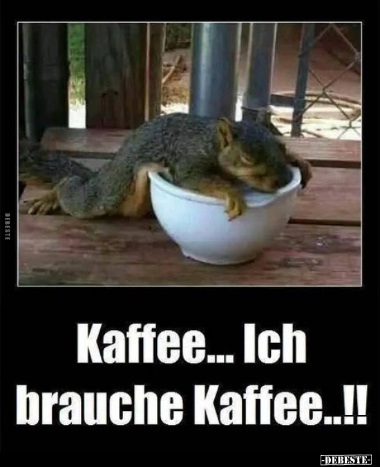 Kaffee... Ich brauche Kaffee..!!.. - Lustige Bilder | DEBESTE.de