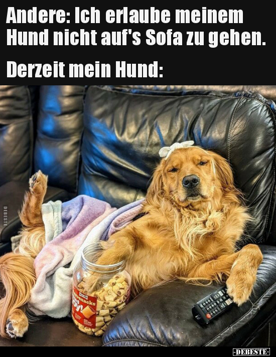 Andere: Ich erlaube meinem Hund nicht auf's Sofa zu.. - Lustige Bilder | DEBESTE.de