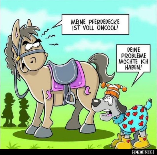 Meine Pferdedecke ist voll uncool!.. - Lustige Bilder | DEBESTE.de