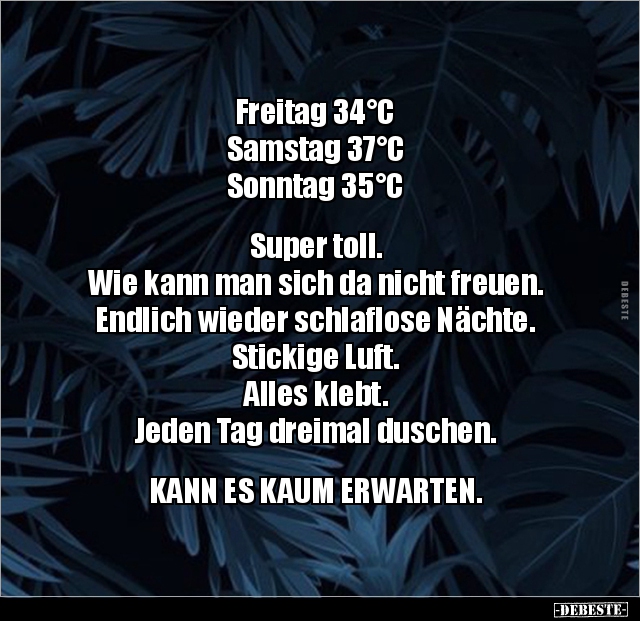 Freitag 34°C,  Samstag 37°C, Sonntag 35°C... - Lustige Bilder | DEBESTE.de