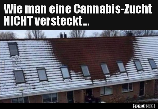 Wie man eine Cannabis-Zucht NICHT versteckt... - Lustige Bilder | DEBESTE.de