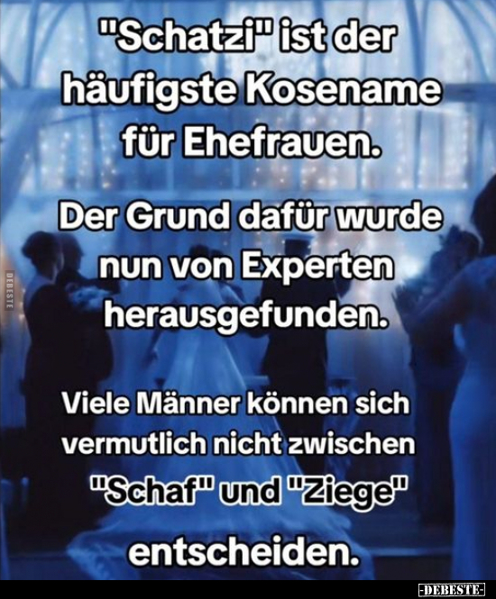 "Schatzi" ist der häufigste Kosename für Ehefrauen... - Lustige Bilder | DEBESTE.de