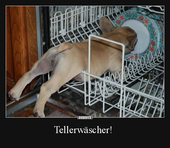 Tellerwäscher! - Lustige Bilder | DEBESTE.de