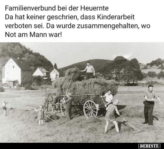 Familienverbund bei der Heuernte.. - Lustige Bilder | DEBESTE.de