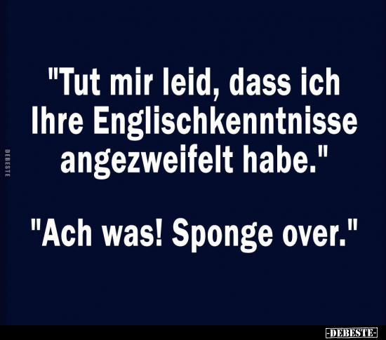 "Tut mir leid, dass ich Ihre Englischkenntnisse.." - Lustige Bilder | DEBESTE.de