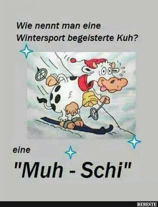 Wie nennt man eine Wintersport begeisterte Kuh?﻿  - Lustige Bilder | DEBESTE.de