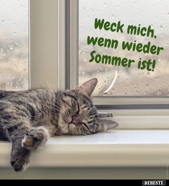 Weck mich, wenn wieder Sommer ist!.. - Lustige Bilder | DEBESTE.de