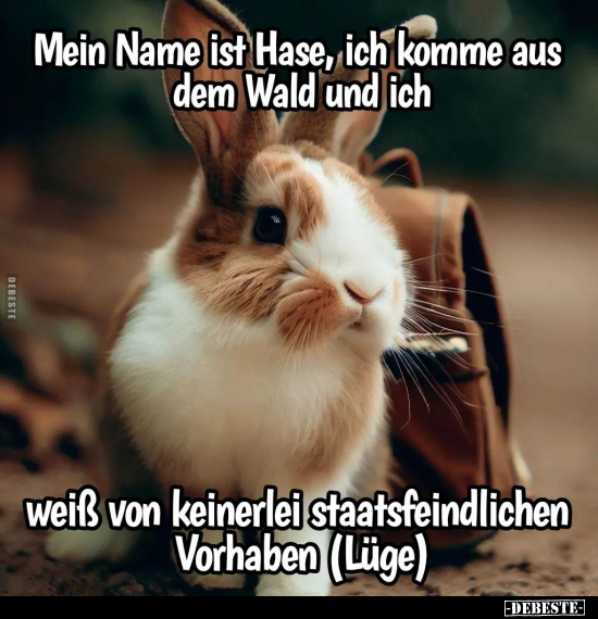 Mein Name ist Hase, ich komme aus dem Wald und ich weiß von.. - Lustige Bilder | DEBESTE.de