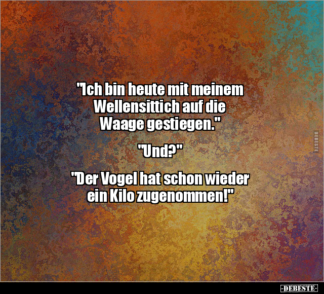 "Ich bin heute mit meinem Wellensittich.." - Lustige Bilder | DEBESTE.de