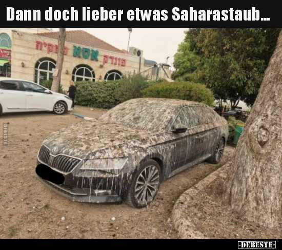 Dann doch lieber etwas Saharastaub... - Lustige Bilder | DEBESTE.de