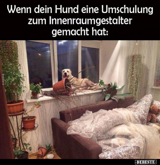 Wenn dein Hund eine Umschulung.. - Lustige Bilder | DEBESTE.de