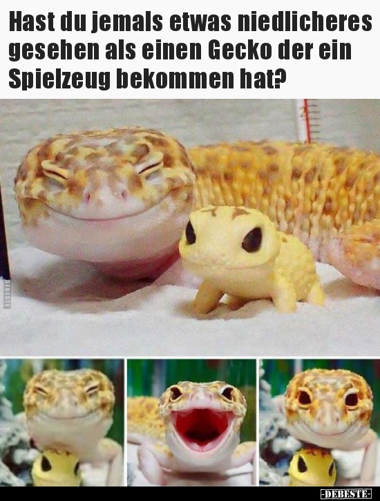 Hast du jemals etwas niedlicheres gesehen als einen Gecko.. - Lustige Bilder | DEBESTE.de