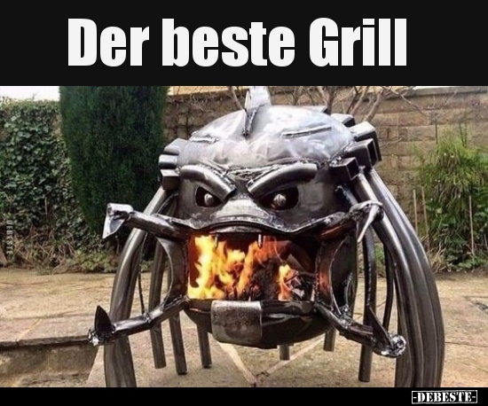 Der beste Grill.. - Lustige Bilder | DEBESTE.de